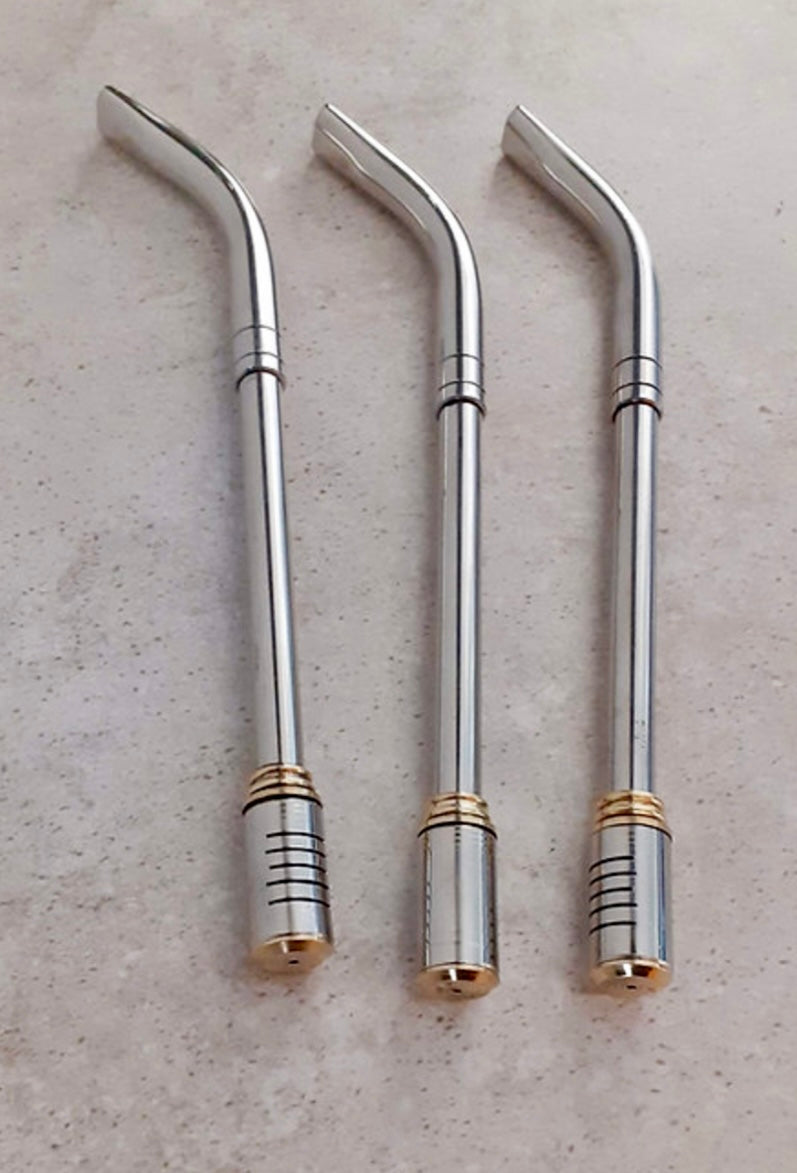 Stainless Steel Straw APLC90 Pico de loro